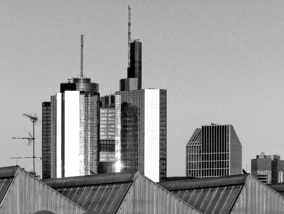Roofs architecture houses