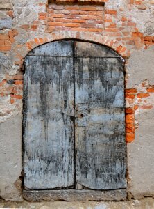 Wood entry wood door