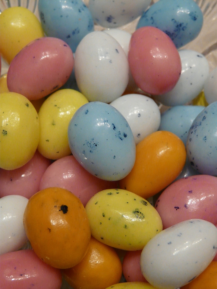 Nibble colorful color