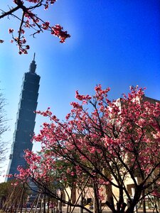 101 spring travel