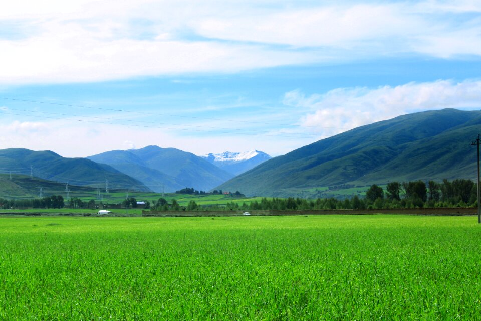 Alpine the sichuan-tibet tibet
