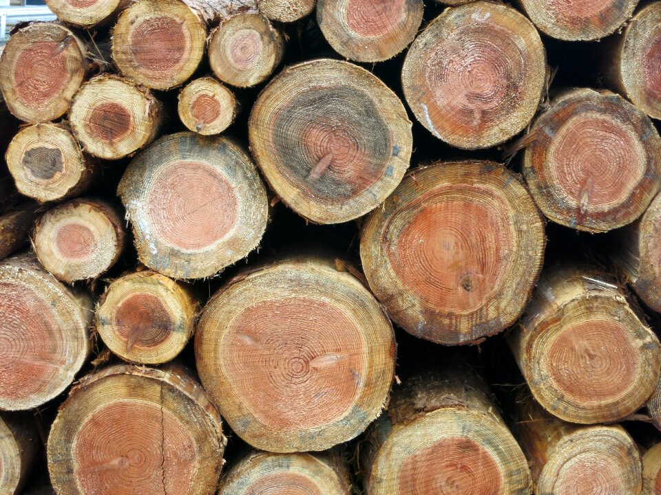 Wood grain log natural