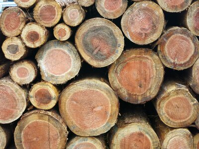 Wood grain log natural