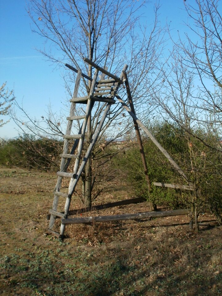 Hunting stance hide