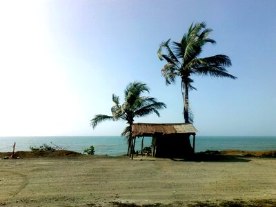 Sun nature beach