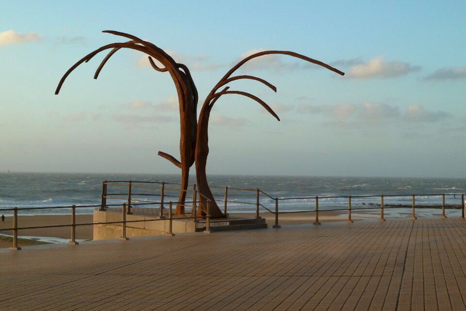 Coast sea sandy beach