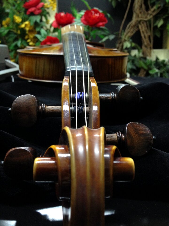 Violin music instrument