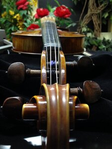 Violin music instrument photo