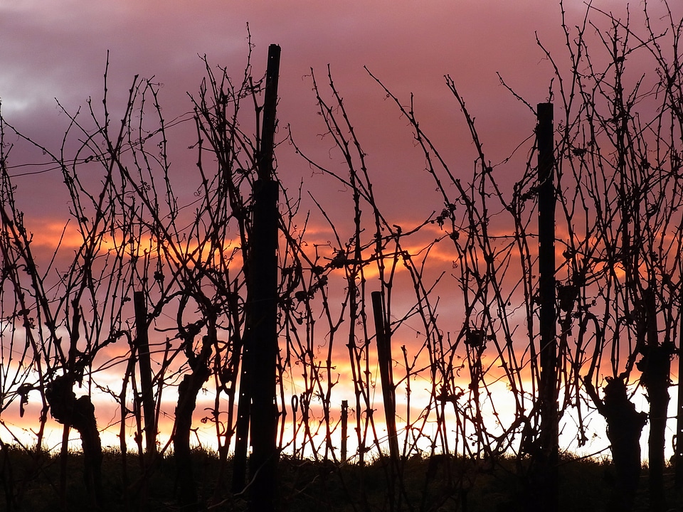 Dusk sky nature