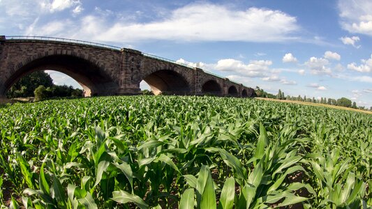 Highway bridge clouds cornfield photo