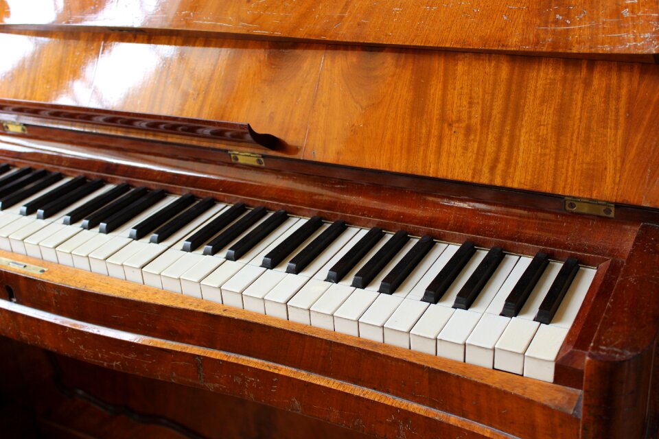 Keys instrument piano keys