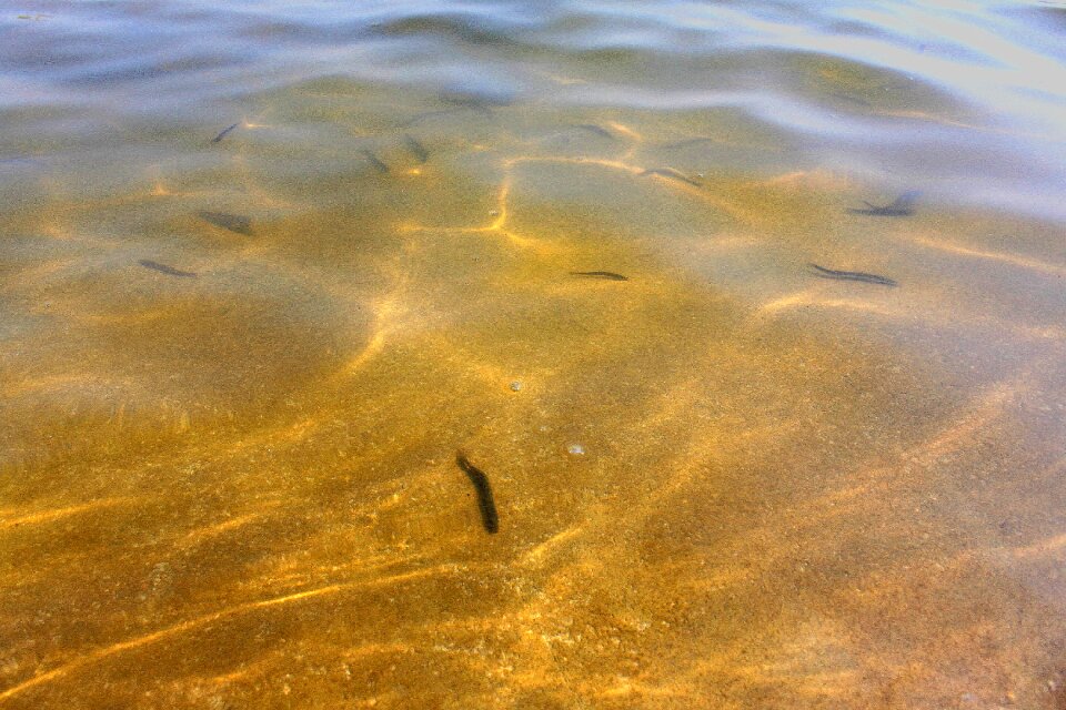 Wave optics ripple crystal clear