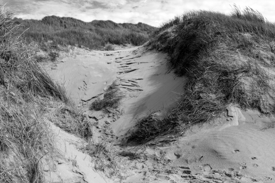 Netherlands black and white traces
