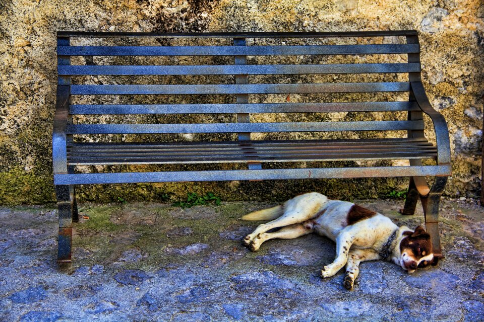 Tranquility base tired rest