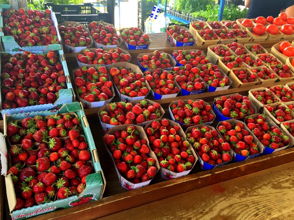 Fresh baskets food