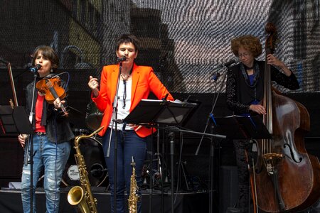 Town festival mannheim concert