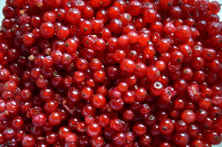 Juicy garden sweet