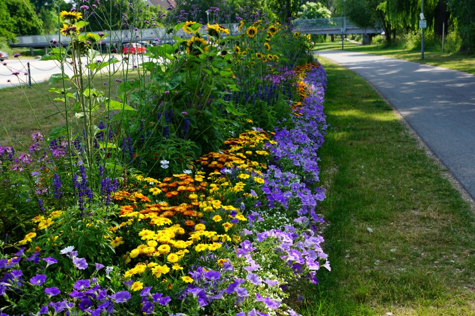 Green colorful spring