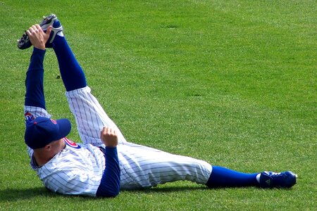 Cubs baseball