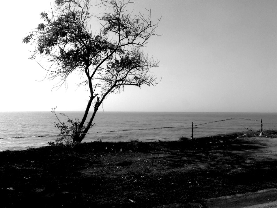 Sea beach sand