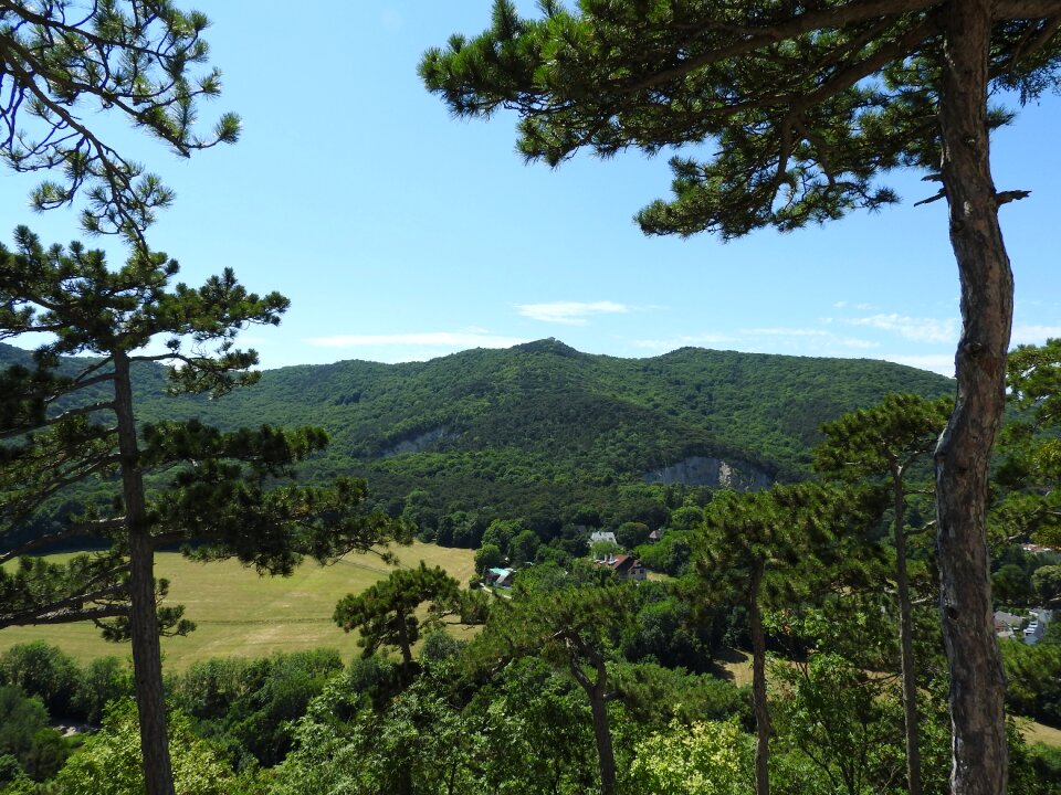 Landscape föhrenberge hill land