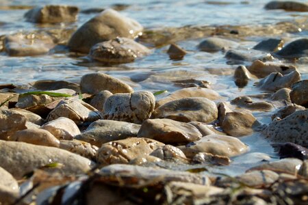 Nature meditation