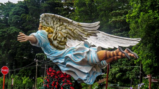 Celestial flight wing