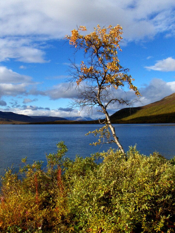 Autumn the lapland kilpisjärvi