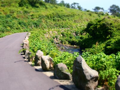 Republic of korea korea nature