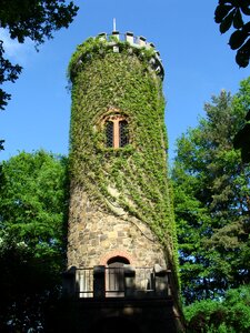 Historic building ivy