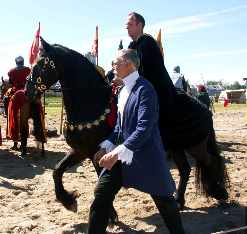 Horse knights middle ages