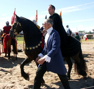 Horse knights middle ages