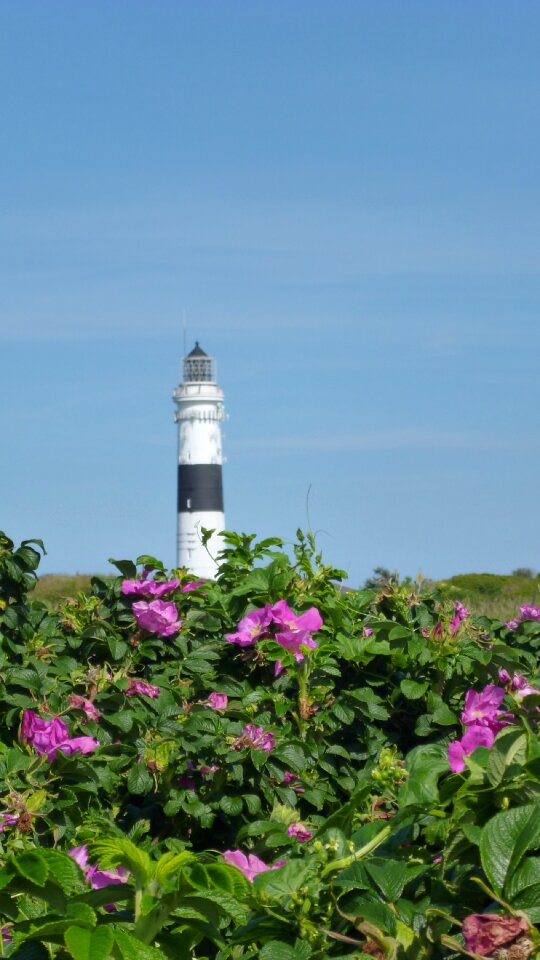 North sea nordfriesland skyward
