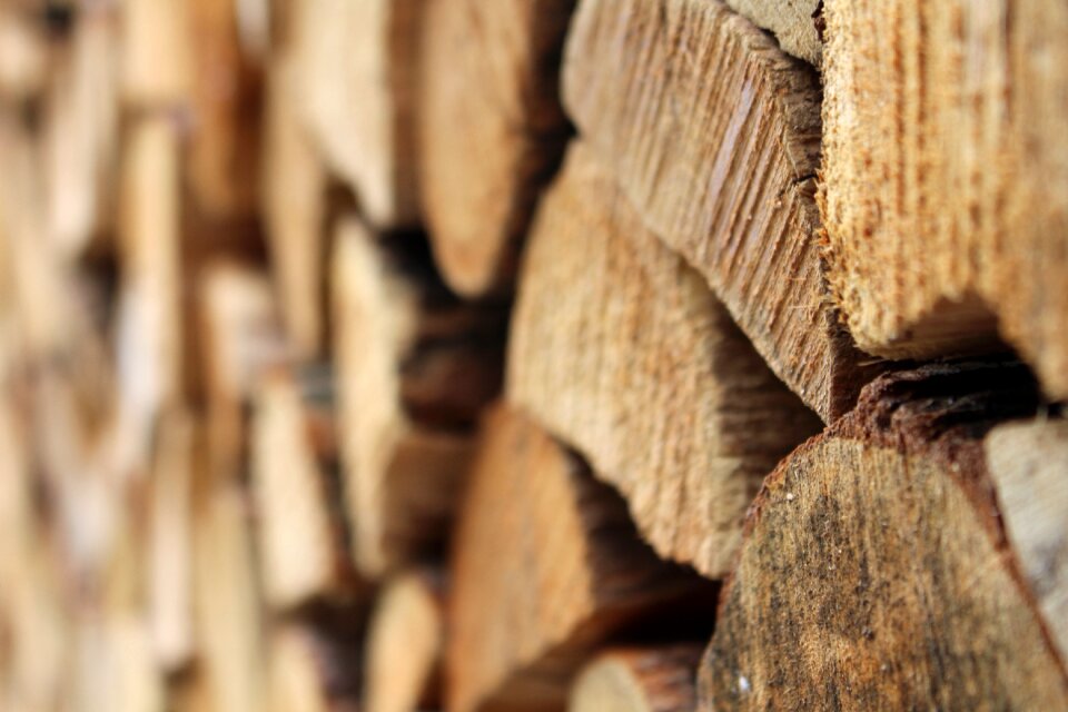 Natural woodpile summer photo