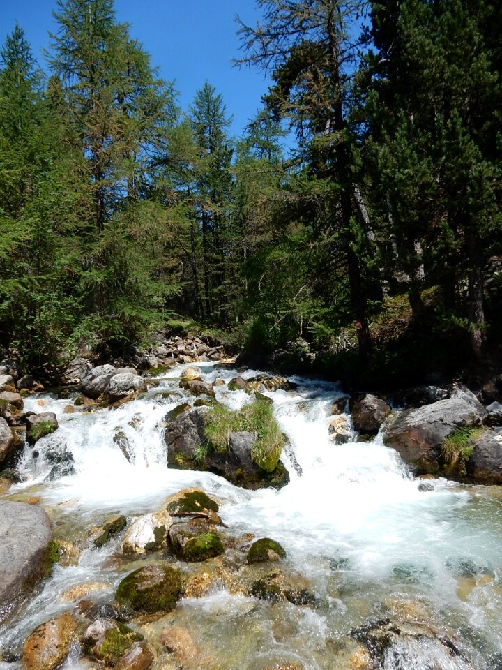 Rocks stones torrent
