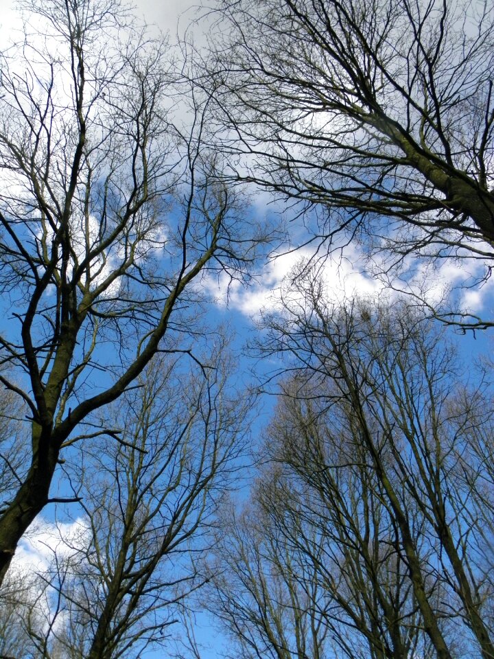 Clouds blue nature