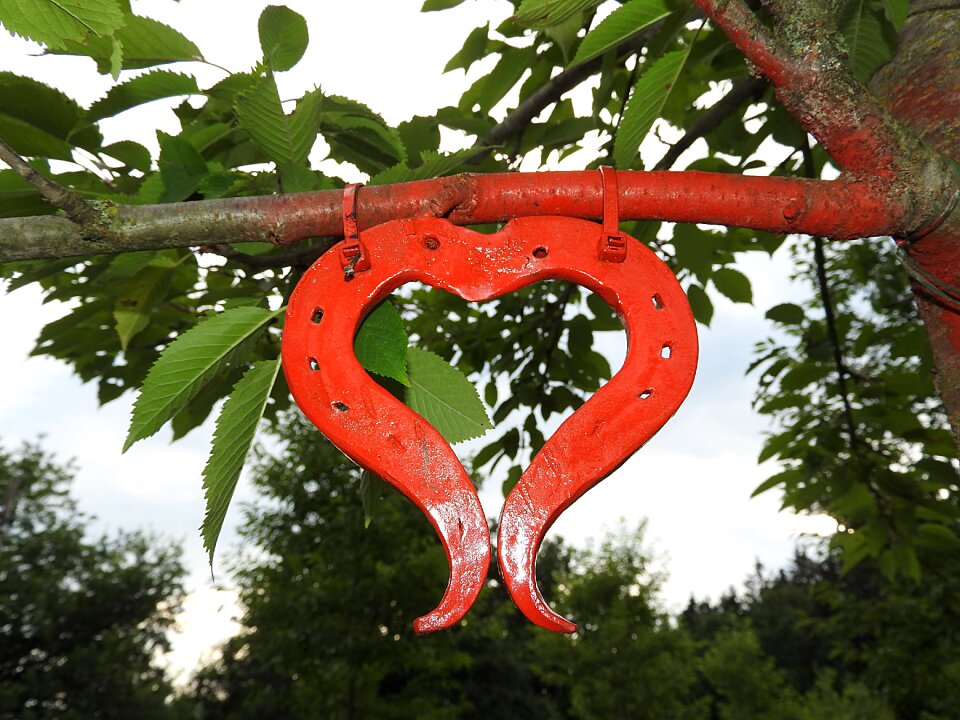 Heart shape lucky charm heart shaped