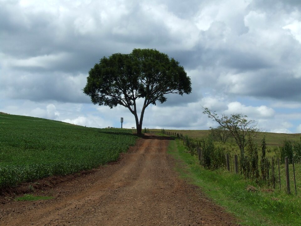 Path farm dirt road