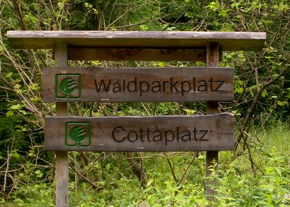 Wood marking forest