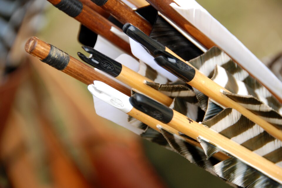 Hunt bow hunting instinctive archery