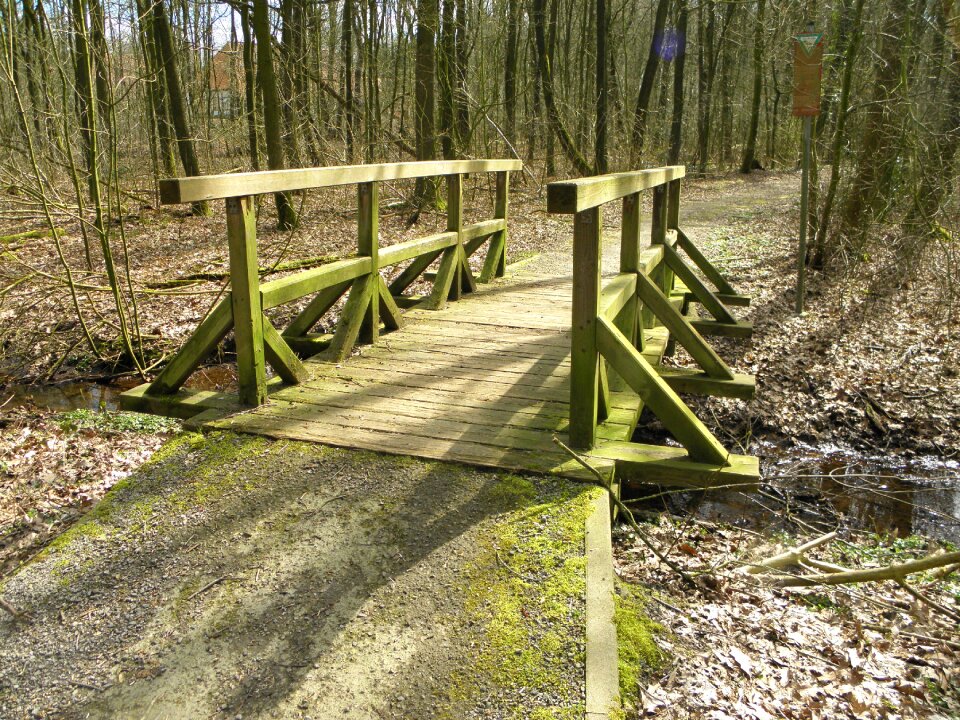 Wooden bridge transition path