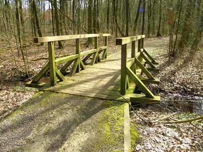 Wooden bridge transition path photo