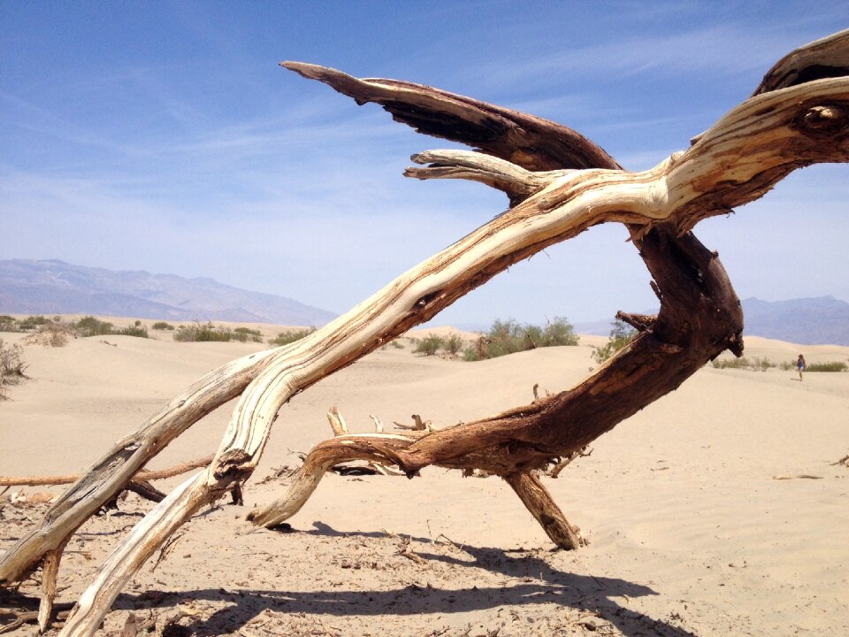 Nature desert sand