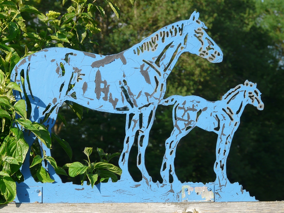 Foal iron silhouette