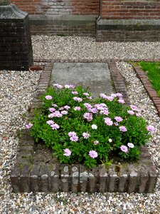 Weldam netherlands tomb