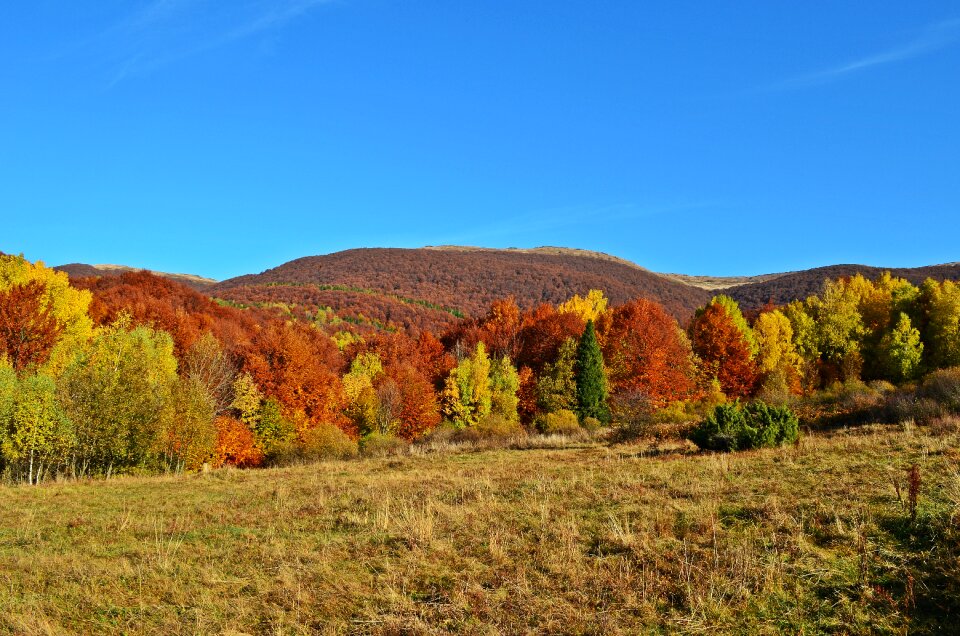 Nature sky view