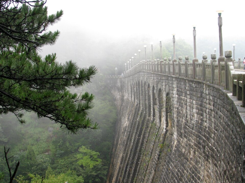 Pine fog china