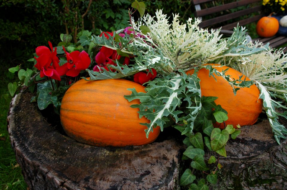 Autumn decoration garden decoration vegetables