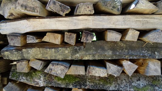 Growing stock log firewood stack
