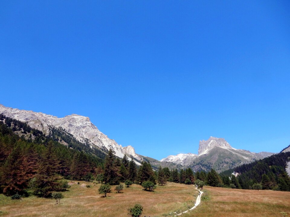 Trail mount thabor forest